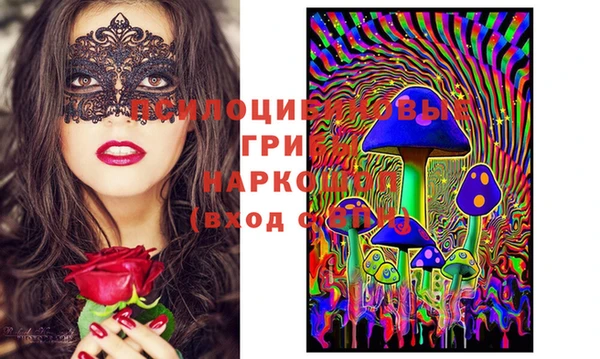 прущий лед Алексеевка