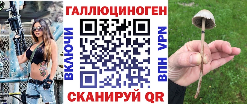 где продают   Тверь  Псилоцибиновые грибы Magic Shrooms 